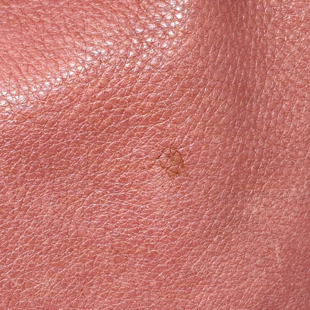 Coach Brooke Limited Edition Breast Cancer Awareness Rose Pink Hobo Handbag - Picture 3 of 13